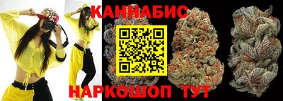 Альфа ПВП Нальчик