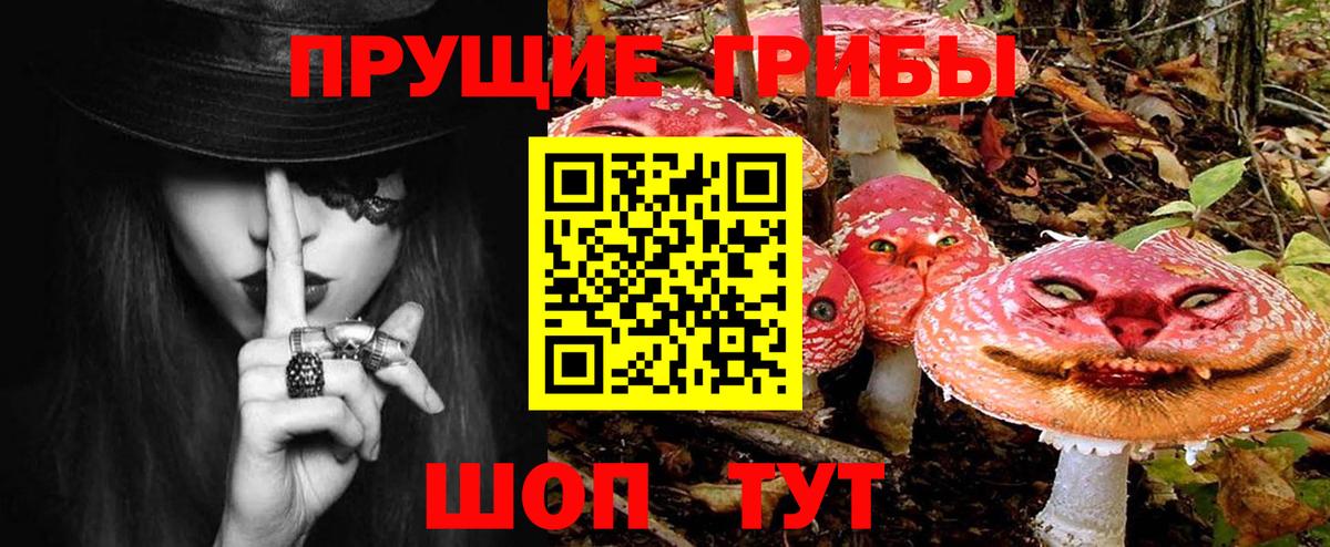 Галлюциногенные грибы Psilocybine cubensis  Вход с VPN  Туймазы 