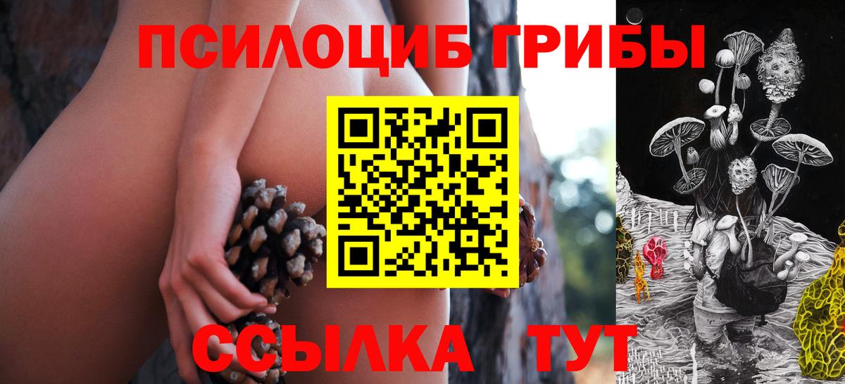 Галлюциногенные грибы Cubensis Туймазы